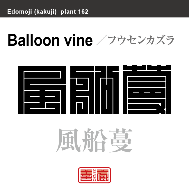 風船蔓　フウセンカズラ　花や植物の名前（漢字表記）を角字で表現してみました。該当する植物についても簡単に解説しています。