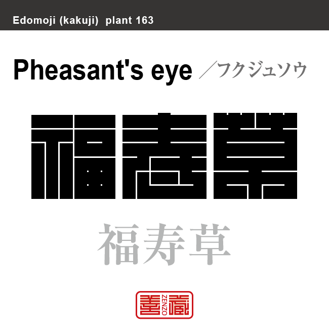 福寿草　フクジュソウ　花や植物の名前（漢字表記）を角字で表現してみました。該当する植物についても簡単に解説しています。