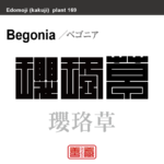 瓔珞草　ヨウラクソウ ベゴニア　花や植物の名前（漢字表記）を角字で表現してみました。該当する植物についても簡単に解説しています。