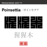 猩猩木　ポインセチア しょうじょうぼく　花や植物の名前（漢字表記）を角字で表現してみました。該当する植物についても簡単に解説しています。