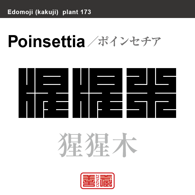 猩猩木　ポインセチア しょうじょうぼく　花や植物の名前（漢字表記）を角字で表現してみました。該当する植物についても簡単に解説しています。