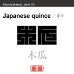 木瓜　ボケ　花や植物の名前（漢字表記）を角字で表現してみました。該当する植物についても簡単に解説しています。