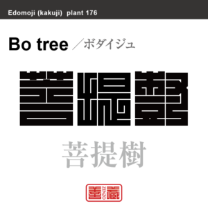 菩提樹　ボダイジュ　花や植物の名前（漢字表記）を角字で表現してみました。該当する植物についても簡単に解説しています。