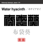 布袋葵　ホテイアオイ　花や植物の名前（漢字表記）を角字で表現してみました。該当する植物についても簡単に解説しています。