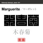 木春菊　マーガレット もくしゅんぎく　花や植物の名前（漢字表記）を角字で表現してみました。該当する植物についても簡単に解説しています。