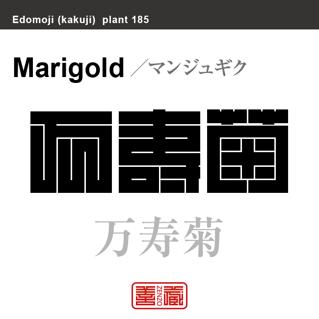 万寿菊　マンジュギク マリーゴールド　花や植物の名前（漢字表記）を角字で表現してみました。該当する植物についても簡単に解説しています。