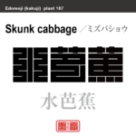 水芭蕉　ミズバショウ　花や植物の名前（漢字表記）を角字で表現してみました。該当する植物についても簡単に解説しています。