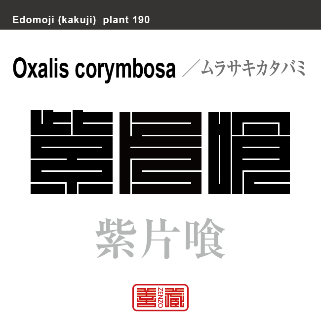 紫片喰　ムラサキカタバミ　花や植物の名前（漢字表記）を角字で表現してみました。該当する植物についても簡単に解説しています。