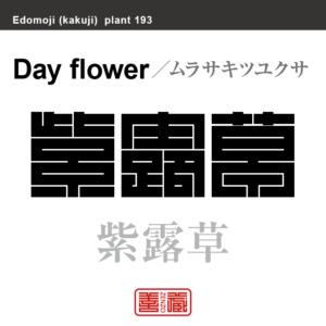 紫露草　ムラサキツユクサ　花や植物の名前（漢字表記）を角字で表現してみました。該当する植物についても簡単に解説しています。