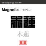 木蓮　モクレン　花や植物の名前（漢字表記）を角字で表現してみました。該当する植物についても簡単に解説しています。