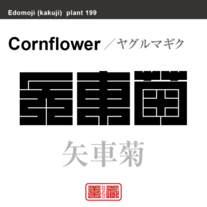 矢車菊　ヤグルマギク　花や植物の名前（漢字表記）を角字で表現してみました。該当する植物についても簡単に解説しています。