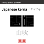 山吹　ヤマブキ　花や植物の名前（漢字表記）を角字で表現してみました。該当する植物についても簡単に解説しています。