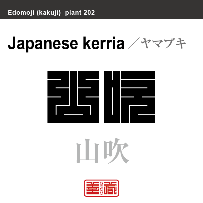 山吹　ヤマブキ　花や植物の名前（漢字表記）を角字で表現してみました。該当する植物についても簡単に解説しています。