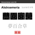 夢百合草　ユメユリソウ　花や植物の名前（漢字表記）を角字で表現してみました。該当する植物についても簡単に解説しています。