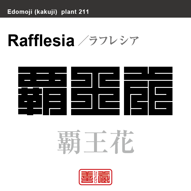 覇王花　ラフレシア　花や植物の名前（漢字表記）を角字で表現してみました。該当する植物についても簡単に解説しています。