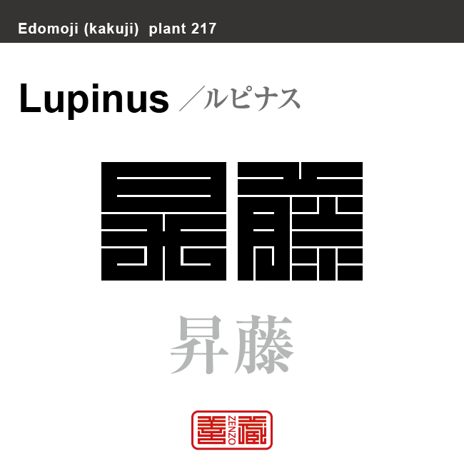 昇藤　ノボリフジ ルピナス　花や植物の名前（漢字表記）を角字で表現してみました。該当する植物についても簡単に解説しています。