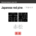 赤松　アカマツ　花や植物の名前（漢字表記）を角字で表現してみました。該当する植物についても簡単に解説しています。