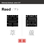 葦 蘆 葭　アシ　花や植物の名前（漢字表記）を角字で表現してみました。該当する植物についても簡単に解説しています。