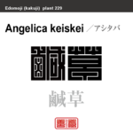 鹹草　アシタバ　花や植物の名前（漢字表記）を角字で表現してみました。該当する植物についても簡単に解説しています。