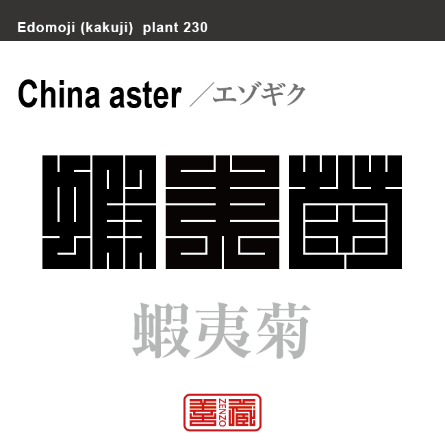 蝦夷菊　エゾギク　花や植物の名前（漢字表記）を角字で表現してみました。該当する植物についても簡単に解説しています。