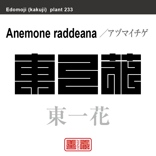 東一花 東一華　アズマイチゲ　花や植物の名前（漢字表記）を角字で表現してみました。該当する植物についても簡単に解説しています。