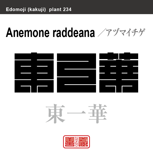 東一花 東一華　アズマイチゲ　花や植物の名前（漢字表記）を角字で表現してみました。該当する植物についても簡単に解説しています。