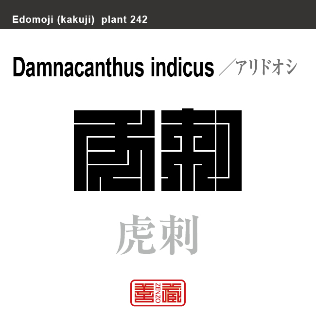 蟻刺 虎刺　アリドオシ　花や植物の名前（漢字表記）を角字で表現してみました。該当する植物についても簡単に解説しています。