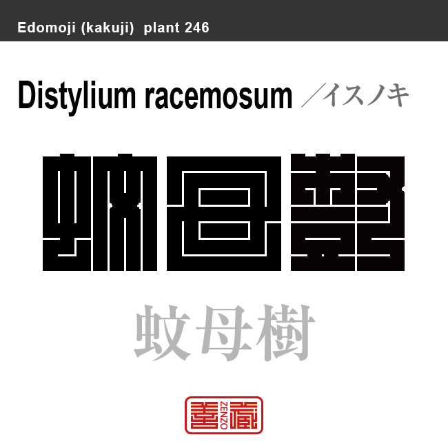 蚊母樹　イスノキ　花や植物の名前（漢字表記）を角字で表現してみました。該当する植物についても簡単に解説しています。