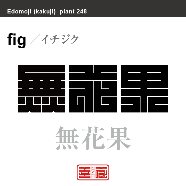 無花果　イチジク　花や植物の名前（漢字表記）を角字で表現してみました。該当する植物についても簡単に解説しています。