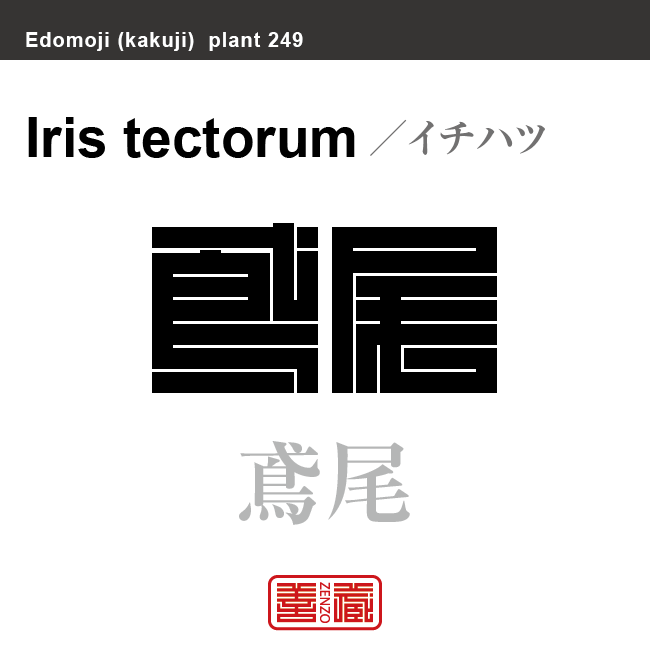 鳶尾　イチハツ　花や植物の名前（漢字表記）を角字で表現してみました。該当する植物についても簡単に解説しています。