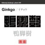 鴨脚樹 公孫樹　イチョウ　花や植物の名前（漢字表記）を角字で表現してみました。該当する植物についても簡単に解説しています。