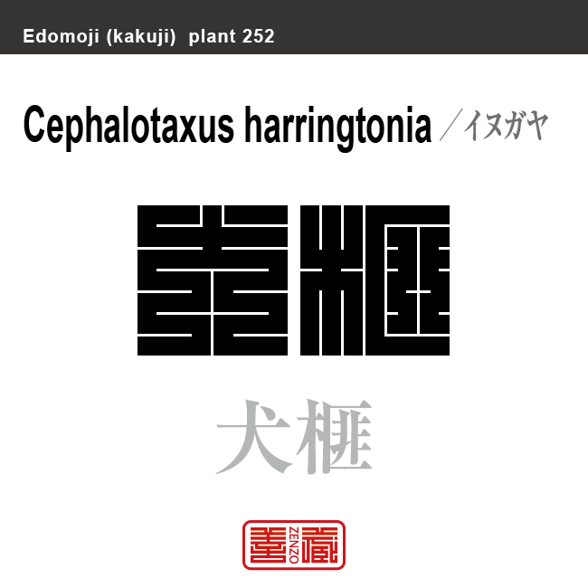 犬榧　イヌガヤ　花や植物の名前（漢字表記）を角字で表現してみました。該当する植物についても簡単に解説しています。