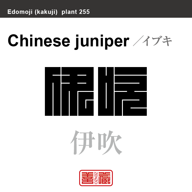 伊吹　イブキ　花や植物の名前（漢字表記）を角字で表現してみました。該当する植物についても簡単に解説しています。