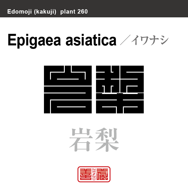 岩梨　イワナシ　花や植物の名前（漢字表記）を角字で表現してみました。該当する植物についても簡単に解説しています。