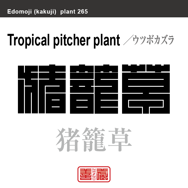 猪籠草 靫葛　ウツボカズラ　花や植物の名前（漢字表記）を角字で表現してみました。該当する植物についても簡単に解説しています。