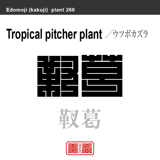 猪籠草 靫葛　ウツボカズラ　花や植物の名前（漢字表記）を角字で表現してみました。該当する植物についても簡単に解説しています。