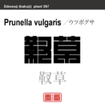 靫草　ウツボグサ　花や植物の名前（漢字表記）を角字で表現してみました。該当する植物についても簡単に解説しています。