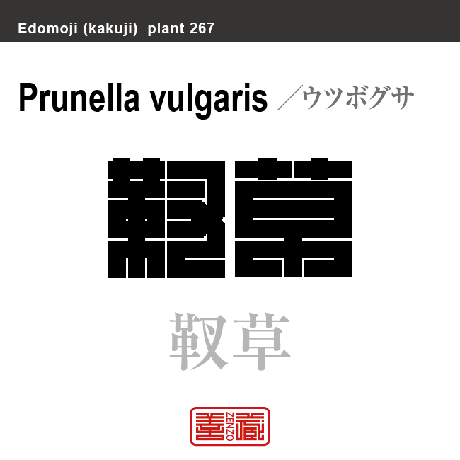 靫草　ウツボグサ　花や植物の名前（漢字表記）を角字で表現してみました。該当する植物についても簡単に解説しています。