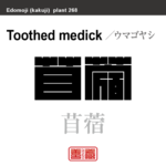 苜蓿　ウマゴヤシ　花や植物の名前（漢字表記）を角字で表現してみました。該当する植物についても簡単に解説しています。