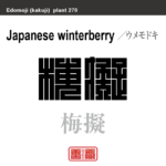 梅擬　ウメモドキ　花や植物の名前（漢字表記）を角字で表現してみました。該当する植物についても簡単に解説しています。