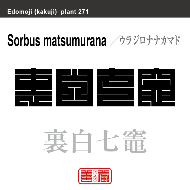 裏白七竈　ウラジロナナカマド　花や植物の名前（漢字表記）を角字で表現してみました。該当する植物についても簡単に解説しています。