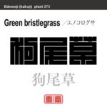 狗尾草　エノコログサ　花や植物の名前（漢字表記）を角字で表現してみました。該当する植物についても簡単に解説しています。