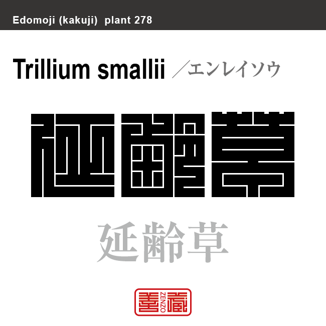 延齢草　エンレイソウ　花や植物の名前（漢字表記）を角字で表現してみました。該当する植物についても簡単に解説しています。