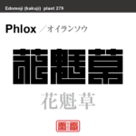 花魁草　オイランソウ　花や植物の名前（漢字表記）を角字で表現してみました。該当する植物についても簡単に解説しています。