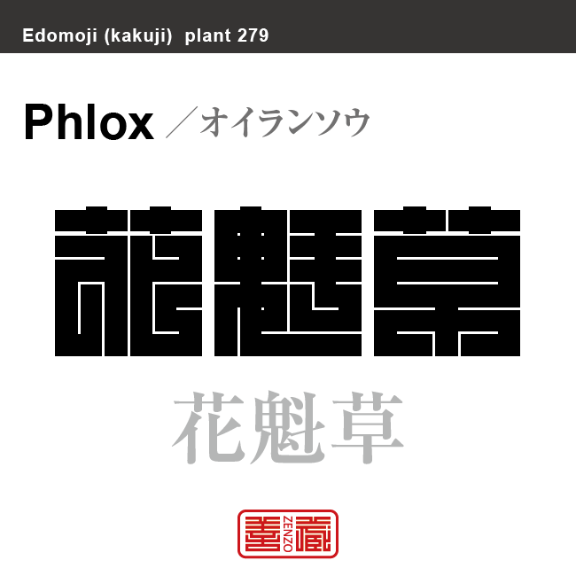 花魁草　オイランソウ　花や植物の名前（漢字表記）を角字で表現してみました。該当する植物についても簡単に解説しています。