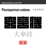 大傘持　オオカサモチ　花や植物の名前（漢字表記）を角字で表現してみました。該当する植物についても簡単に解説しています。