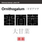 大甘菜　オオアマナ　花や植物の名前（漢字表記）を角字で表現してみました。該当する植物についても簡単に解説しています。