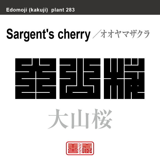 大山桜　オオヤマザクラ　花や植物の名前（漢字表記）を角字で表現してみました。該当する植物についても簡単に解説しています。