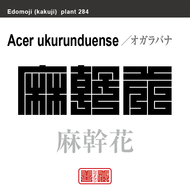 麻幹花　オガラバナ　花や植物の名前（漢字表記）を角字で表現してみました。該当する植物についても簡単に解説しています。