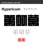 弟切草　オトギリソウ　花や植物の名前（漢字表記）を角字で表現してみました。該当する植物についても簡単に解説しています。